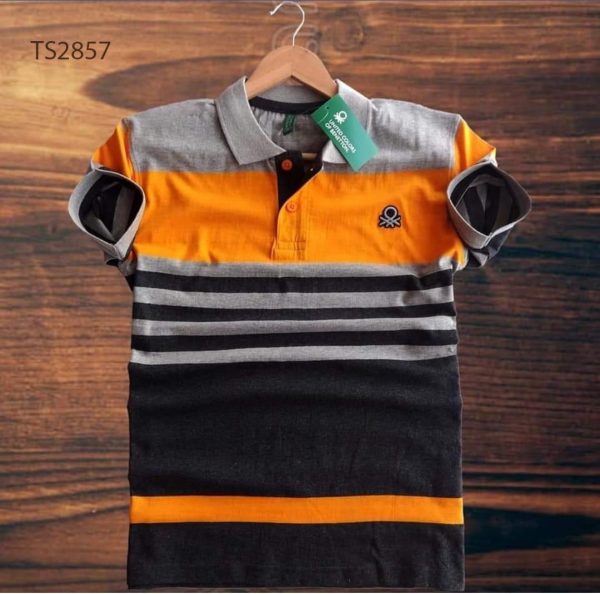 Exclusive Summer Half Sleeve Polo Shirt